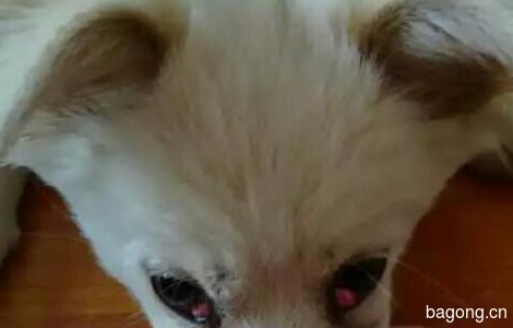 2号上午6.20分左右，有人看到一...