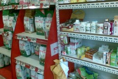 小叮当宠物乐园(曲阳路店)2