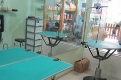 仔仔宠物店4