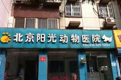 北京阳光动物医院0