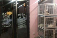 米奇宠屋1