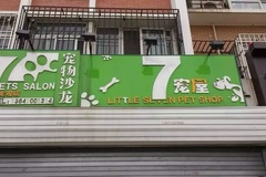 小七宠物店2