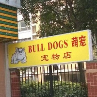 bulldogs萌宠宠物店 封面小图