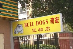 bulldogs萌宠宠物店1