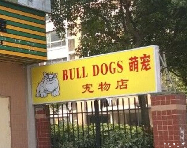 bulldogs萌宠宠物店 封面大图