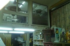 小淘气宠物店1