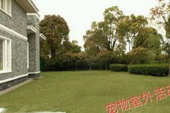 哆旺宠物酒店   宠物训练、寄养4