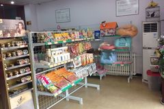 派多格顽皮精灵店1