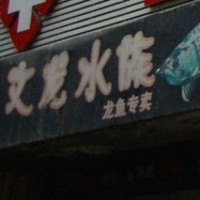 文龙水族 封面小图