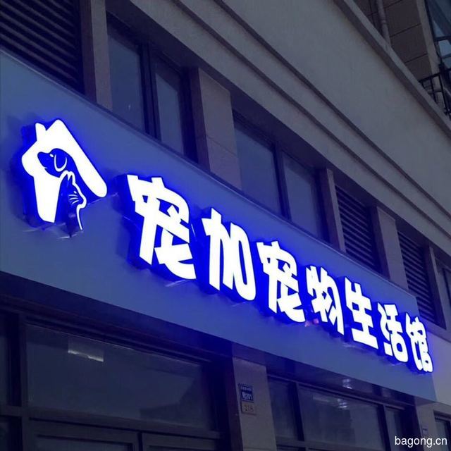 宠加宠物生活馆 封面大图