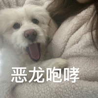 江宁河海大学附近捡到的小狗