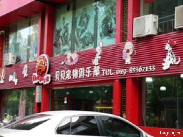 贝贝宠物俱乐部 封面大图