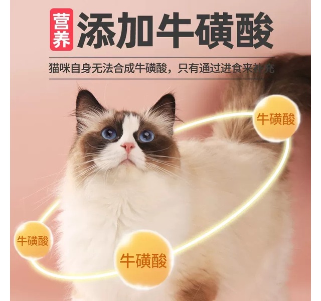 星际喵猫条