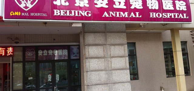 北京安立宠物医院0