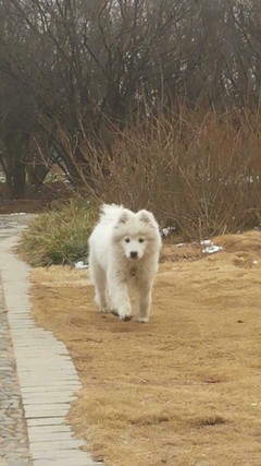 ：孤独得人的宝贝,戳进来点个赞啦~