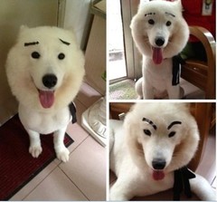 ：蜡笔小新
