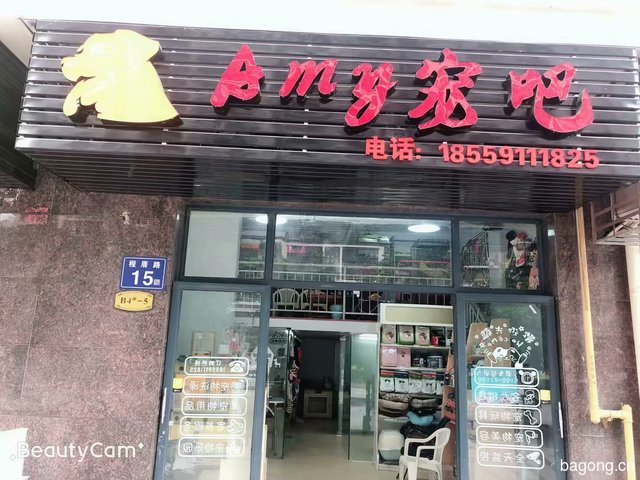 amy宠吧 封面大图