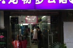 宠物梦公馆1