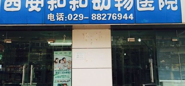 和和动物医院0