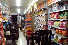 精灵狗宠物店4