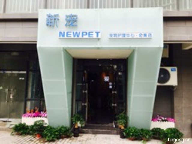 New pet新宠宠物店 封面大图