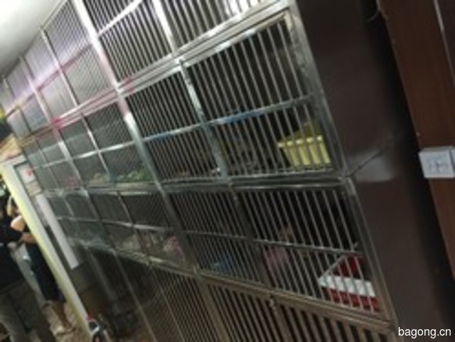 宠物梦公馆 封面大图