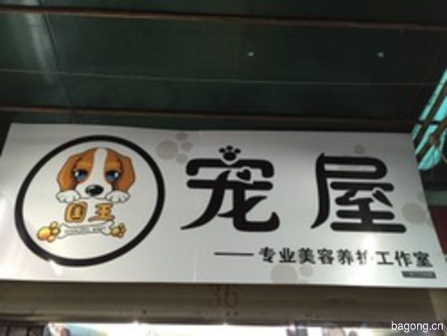 国王宠屋 封面大图