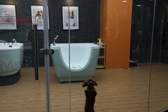 宠宠熊宠物美容(碧云店)0