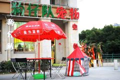 狗仔队宠物沙龙7