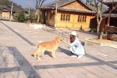 爱尚宠物0
