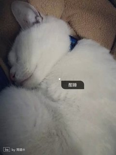 ：简喵❀ 家的宝贝，喜欢就点个赞喽_1418099610