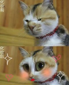 ：化妆前，化妆后，哈哈