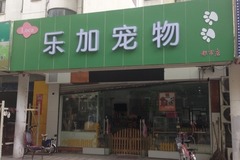 乐加宠物(腾冲路店)1