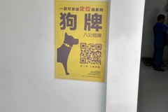 北京宠康家人动物医院1