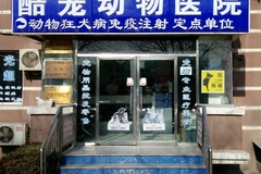 北京酷宠动物医院0