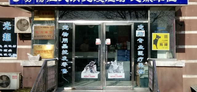 北京酷宠动物医院0