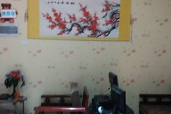 汪星球宠物店1