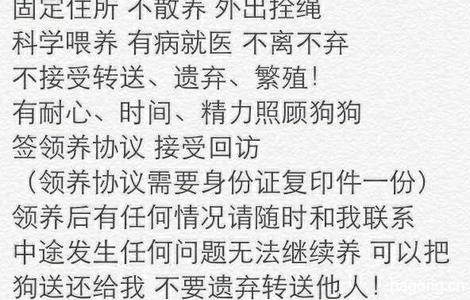 [与牠同行]可人媚娘求家求抱走2