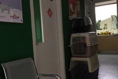 佩兹动物医疗(浦东店)3