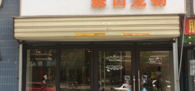 森田宠物0