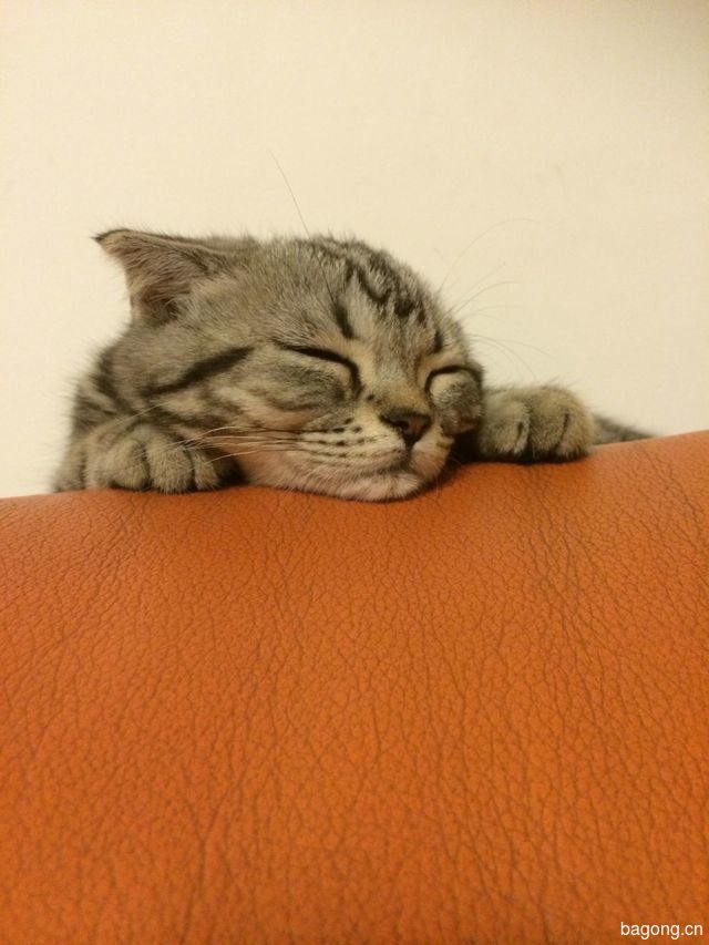 睡相~~