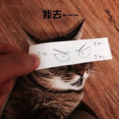 ：何小凡。家的宝贝~~ 喜欢就点个赞喽