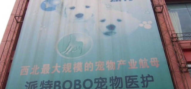 派特BOBO宠物医护0