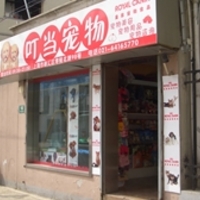 叮当宠物(零陵北路店) 封面小图