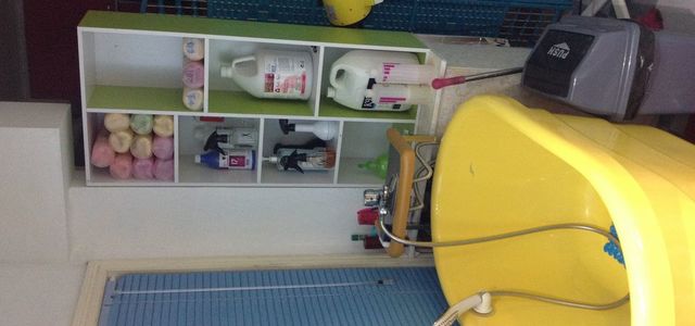 宠乐汇宠物用品店2