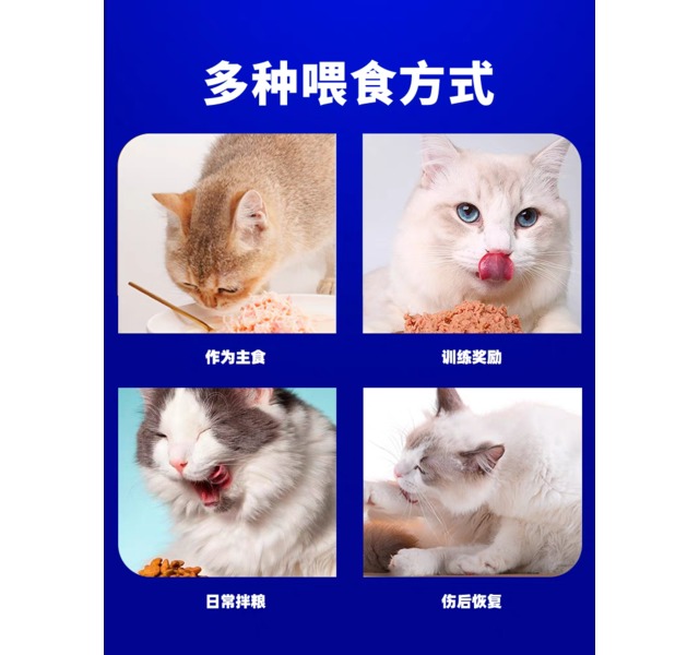 豆柴-猫罐头肠胃原动力全价成幼猫主食罐头通用湿粮主食罐100g*6罐-鸡肉味体态控制