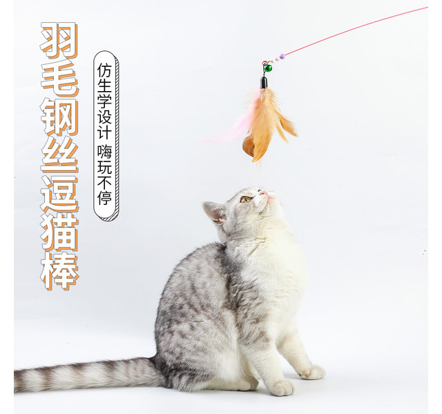 逗猫棒钢丝羽毛替换头耐咬宠物猫咪玩具用品猫杆