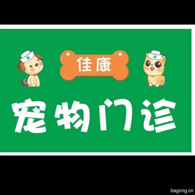 宠物医院 封面大图