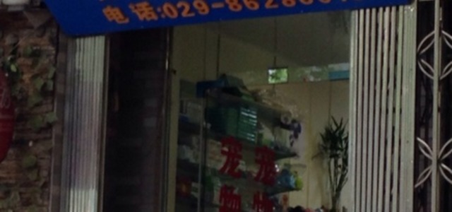 乾龙宠物药店0