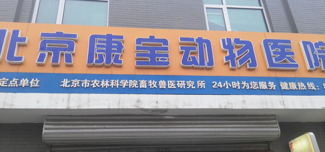 北京康宝动物医院2